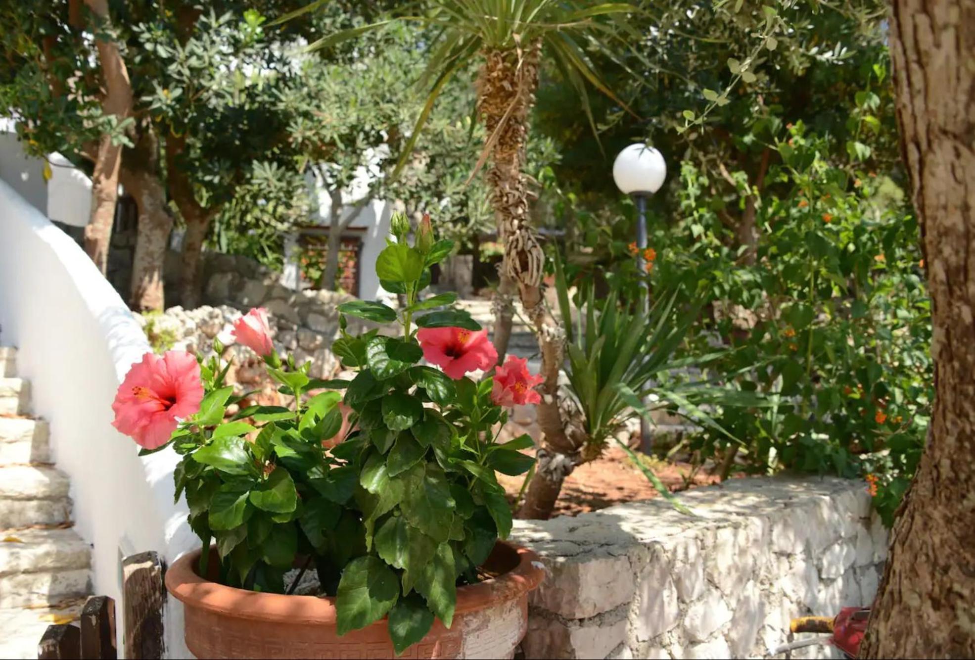 L'Antico Ulivo Villa Santa Cesarea Terme Exterior foto