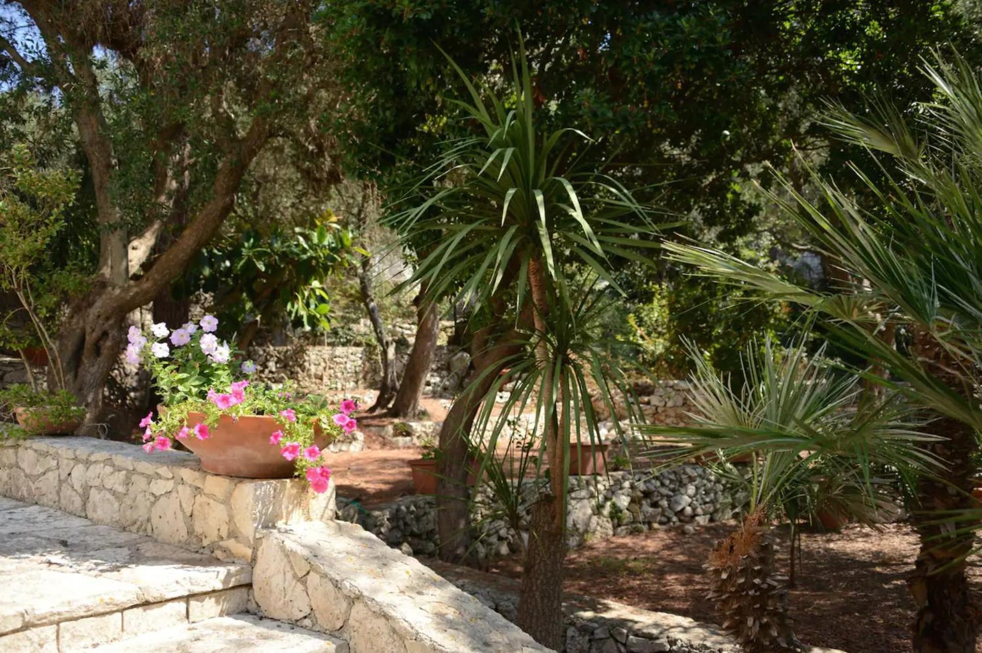 L'Antico Ulivo Villa Santa Cesarea Terme Exterior foto