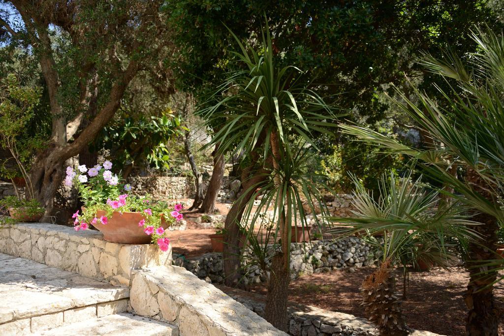L'Antico Ulivo Villa Santa Cesarea Terme Exterior foto